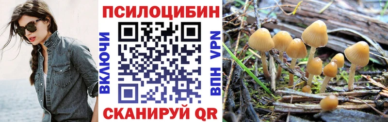 Псилоцибиновые грибы ЛСД  Купить  Нея 